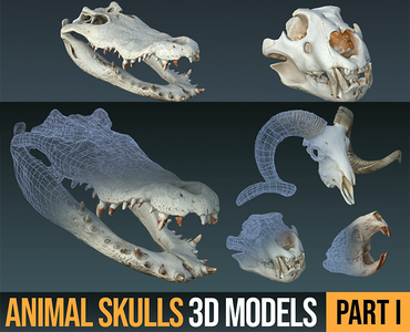 Animal Skulls 3D Models (OBJ) - FlippedNormals