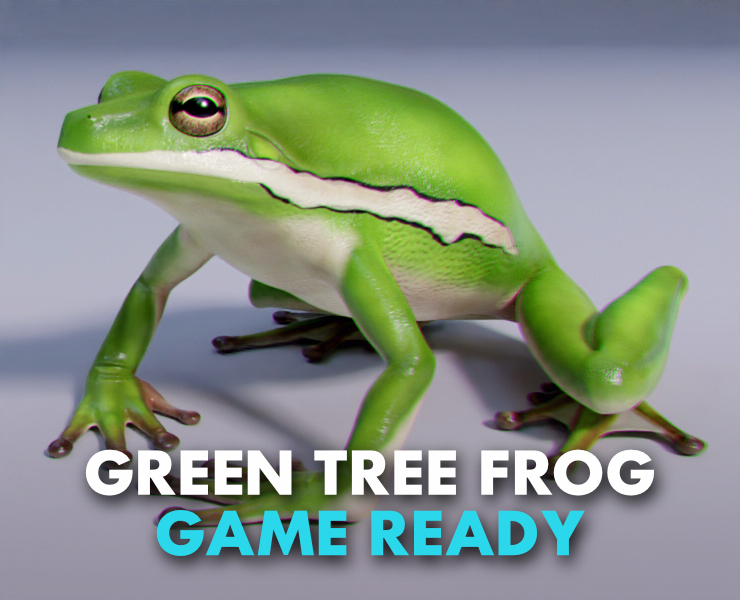 American Green Tree Frog - Animated - FlippedNormals